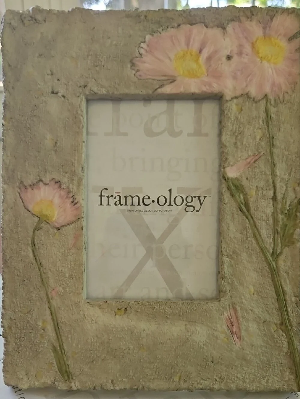 VTG Frame•ology Daisy in Paper Frame, Fits 4x6